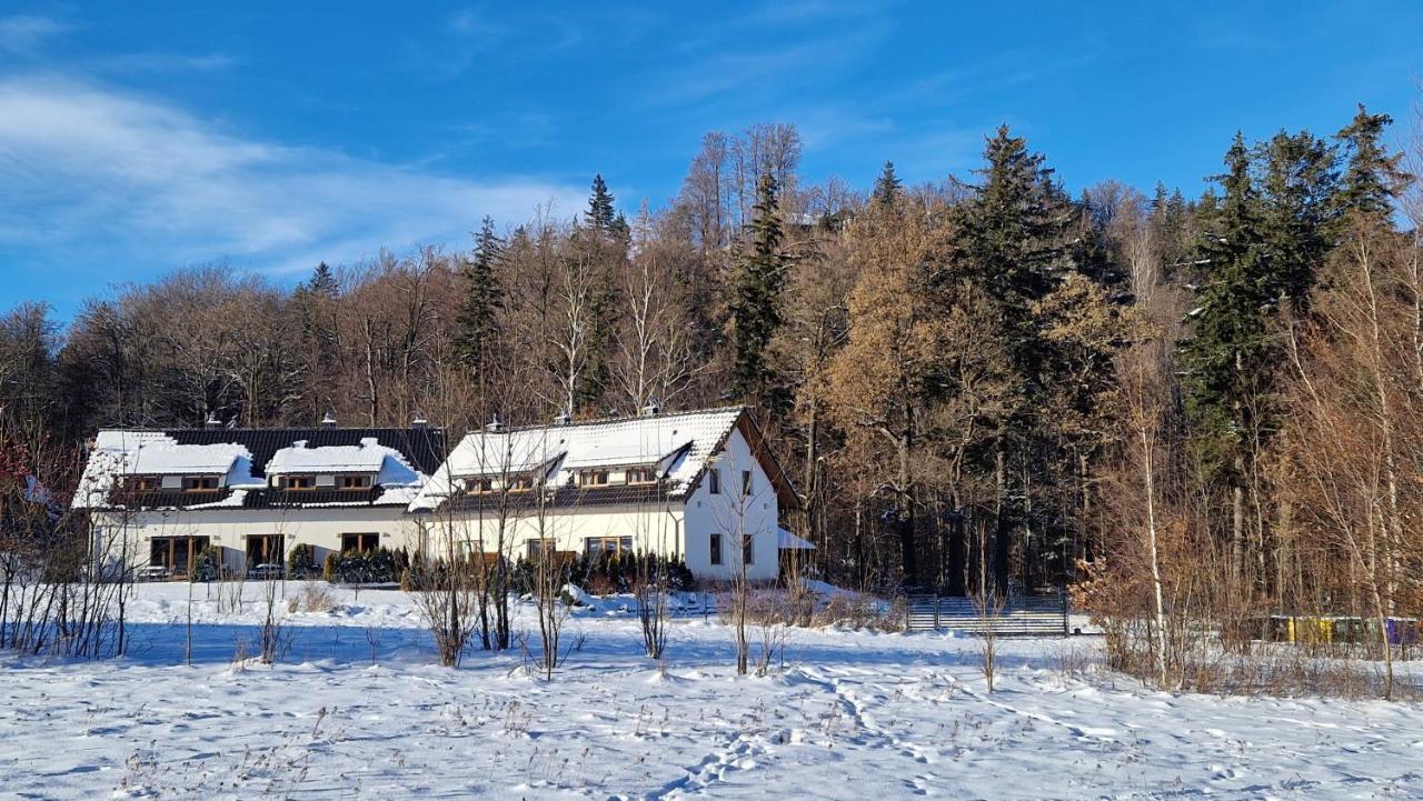 Widokowo - Domki Z Widokiem Na Sniezke Z Jacuzzi I Sauna Карпач Екстер'єр фото